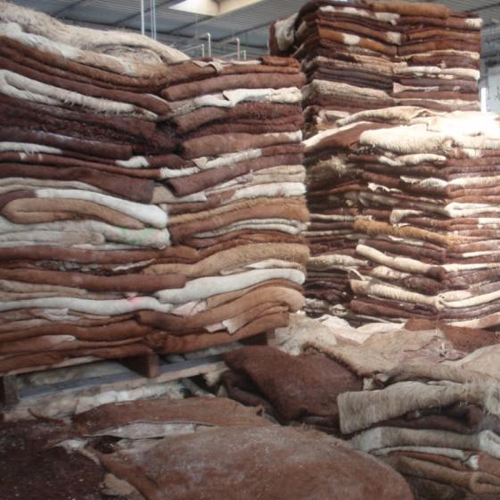 Wet-Salted-Buffalo-Hides